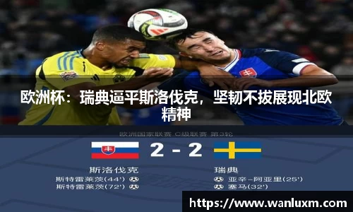 欧洲杯：瑞典逼平斯洛伐克，坚韧不拔展现北欧精神