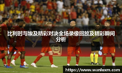 比利时与埃及精彩对决全场录像回放及精彩瞬间分析