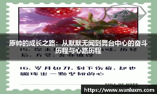 原帅的成长之路：从默默无闻到舞台中心的奋斗历程与心路历程